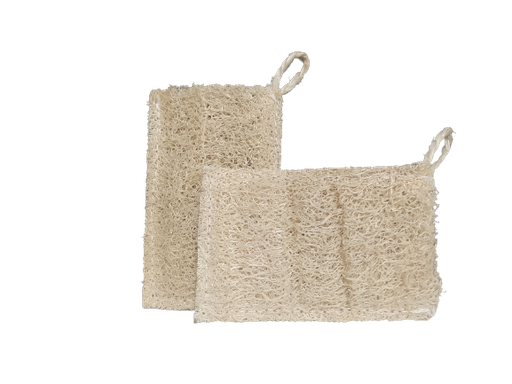 [IEV103] Fregall de luffa