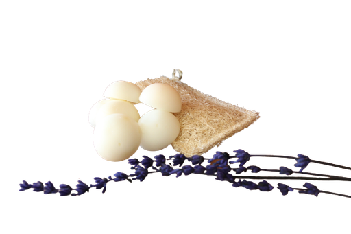 [CCL001] Lot Cocolú (Luffa + 6 sabonets)